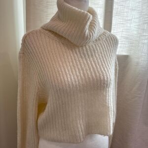Divided Ribbed Turtleneck Sweater